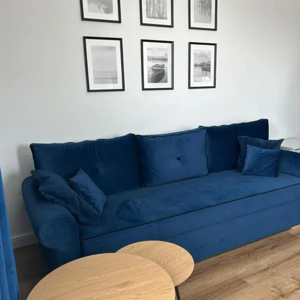 Apartament Parkowa-prywatny parking，位于奥莱茨科的酒店