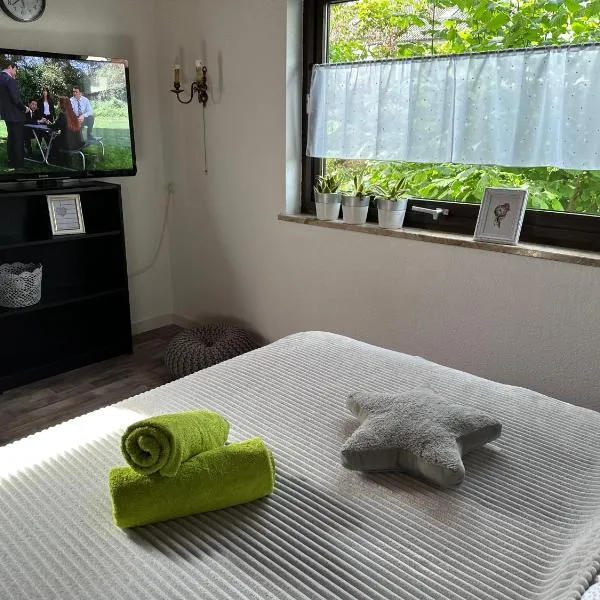 Zimmer, Apartment A3，位于Offenberg的酒店