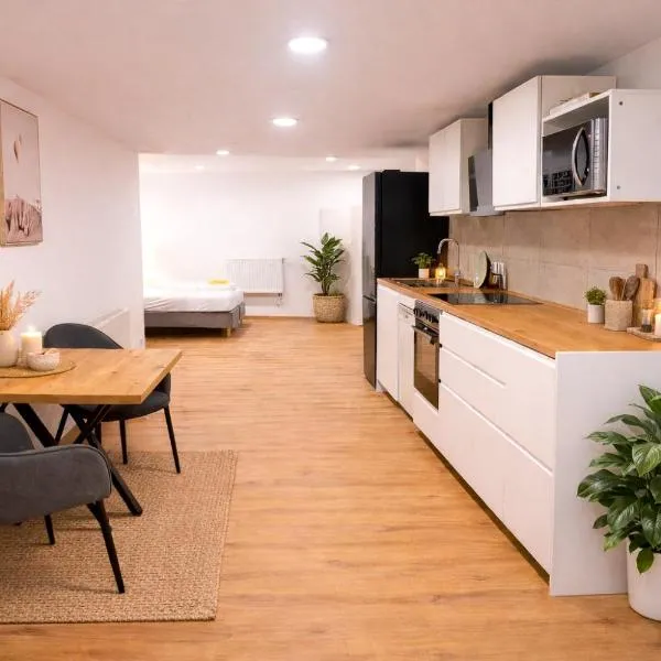 Studio Wohnung Mosella,位于Lehmen的酒店