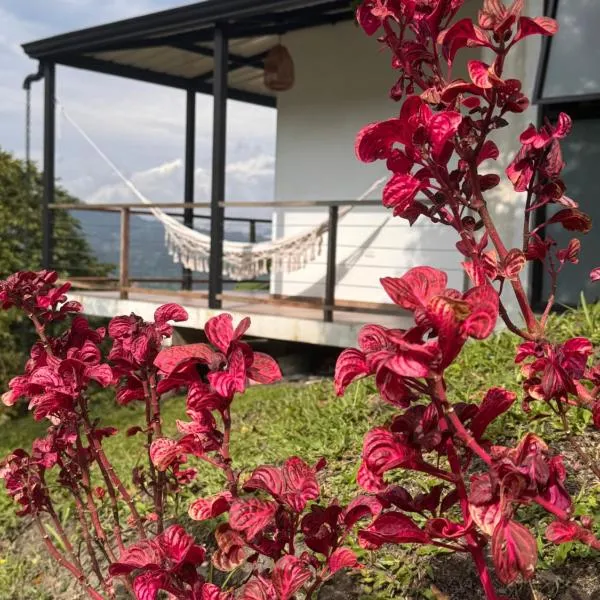 Cabañas Alondra - Hotel Boutique，位于Vergara的酒店