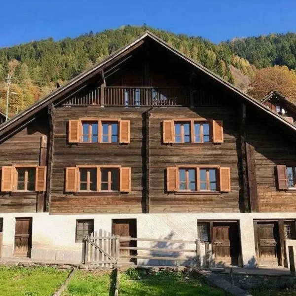Ca da Viola, chalet alpino con sauna，位于Cavagnago的酒店