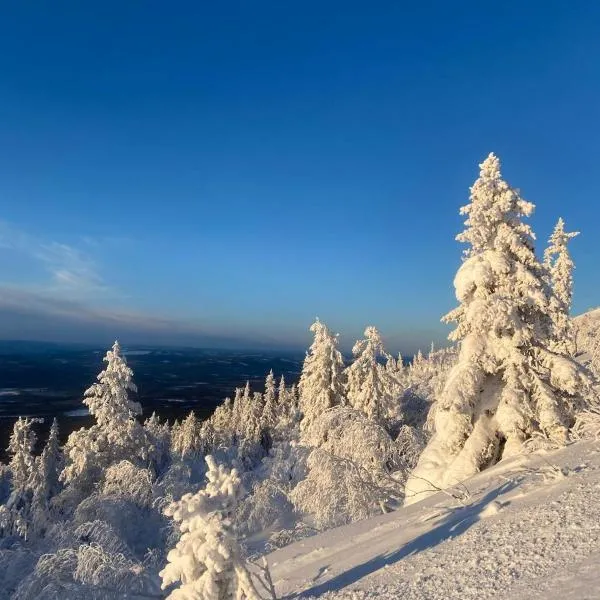 Högt upp på fjället!，位于Storhågna的酒店