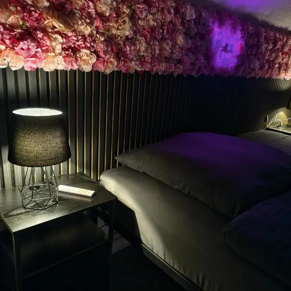 Appartement Grand Est - Ham-sous-Varsberg，位于Ham-sous-Varsberg的酒店