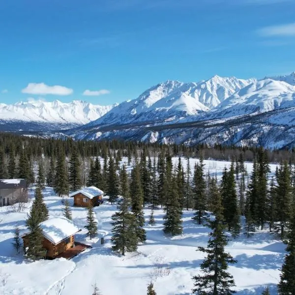 Little Bear Getaway Cabins，位于Glacier View的酒店
