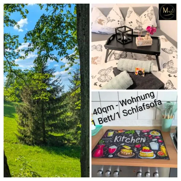 Kleine Sonnenstrahl-Oase，位于Frielendorf的酒店