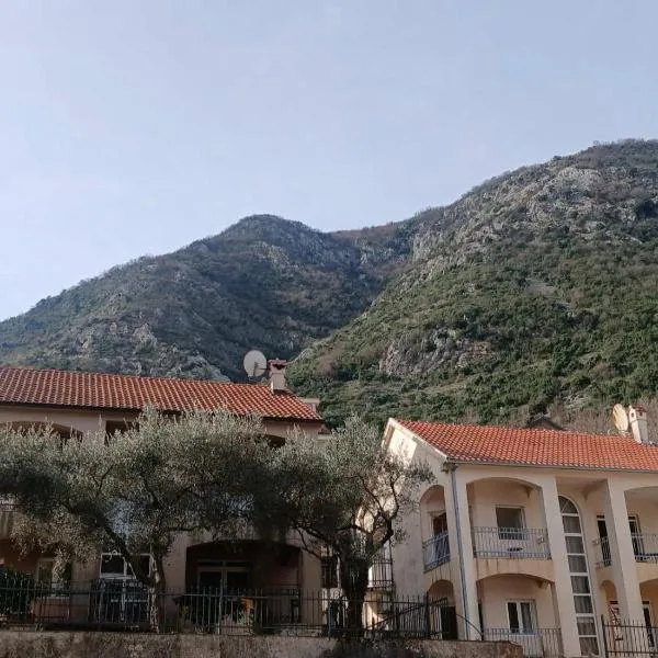 Luxury villa Popivoda，位于普查尼的酒店