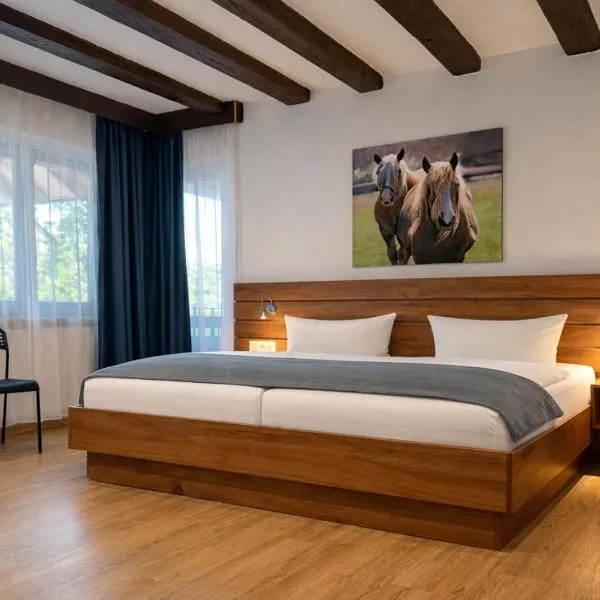 瑞特尔豪夫-奥特姆尔斯酒店，位于贡岑豪森的酒店