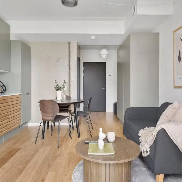 Modern Luxury Apartment，位于奥胡斯的酒店