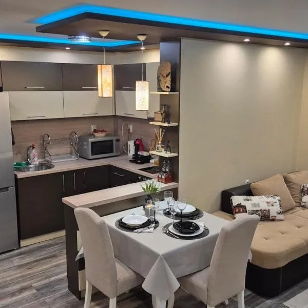 New Modern Apartment Self Check-in，位于维丁的酒店