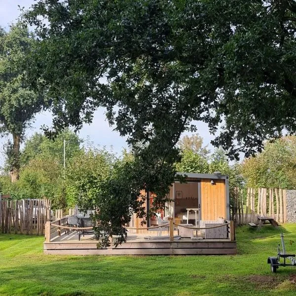 Tiny House，位于Kropswolde的酒店