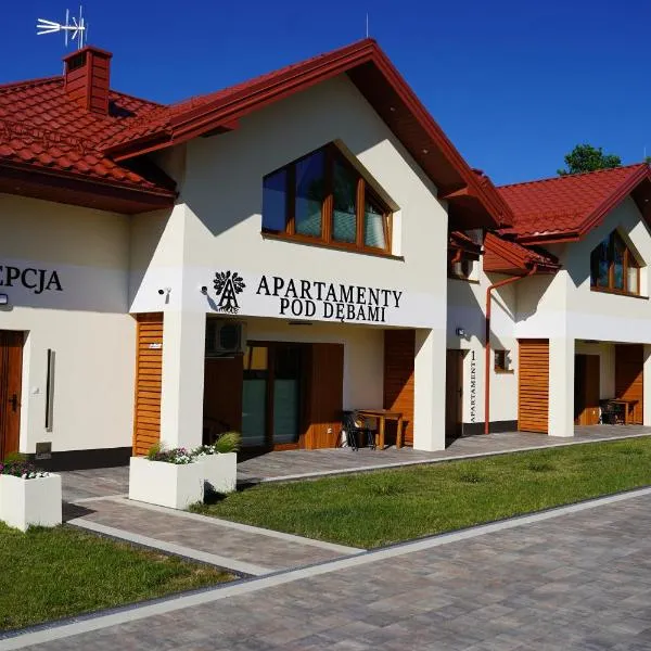 Apartamenty pod Dębami - noclegi Beskid Niski，位于Odrzechowa的酒店