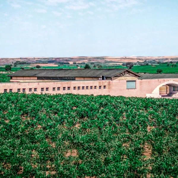 Alojamiento rural Solterra，位于Roa的酒店
