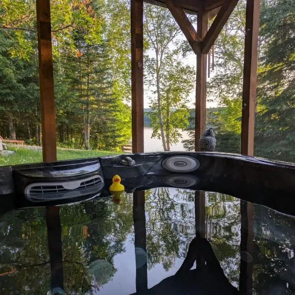 Au pied de la montagne à Chute-Saint-Philippe，位于Lac-Saint-Paul的酒店