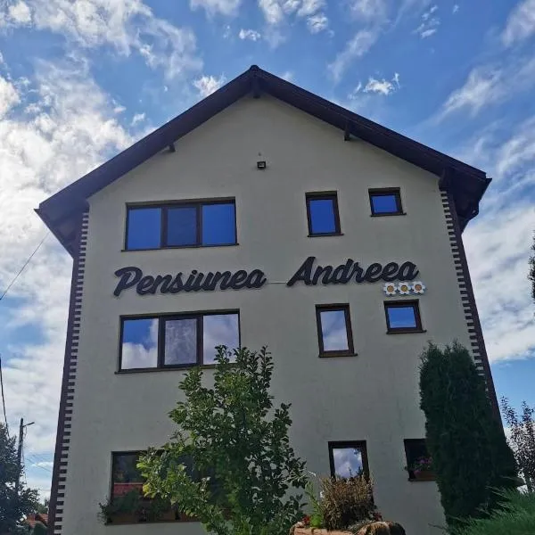Pensiunea Andreea，位于巴亚德菲耶尔的酒店
