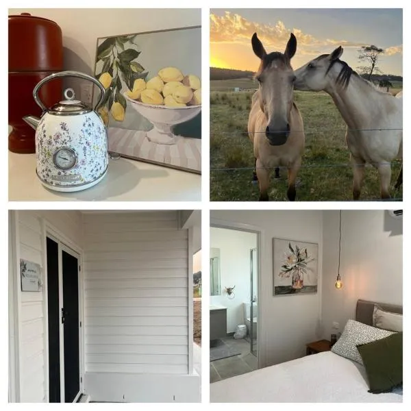 Wildflower Quarters - Boutique Hotel-Style King Countryside Suite，位于Seaton的酒店