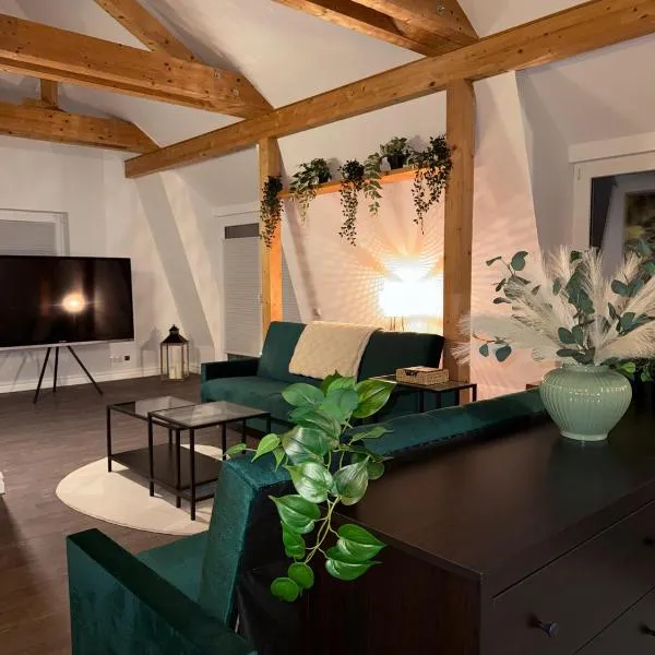 Deluxe Loft，位于巴特基辛根的酒店