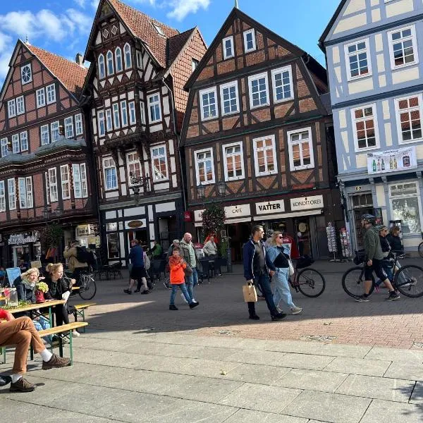 Chez Elly，位于策勒的酒店