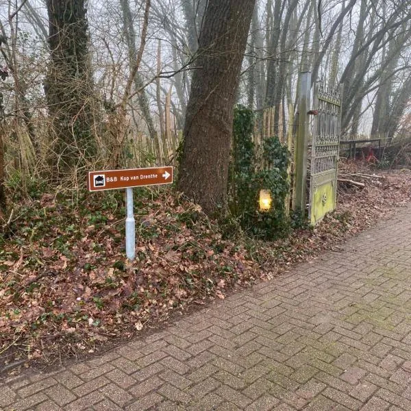 Assen-Groningen-Saunacabine，位于Vries的酒店