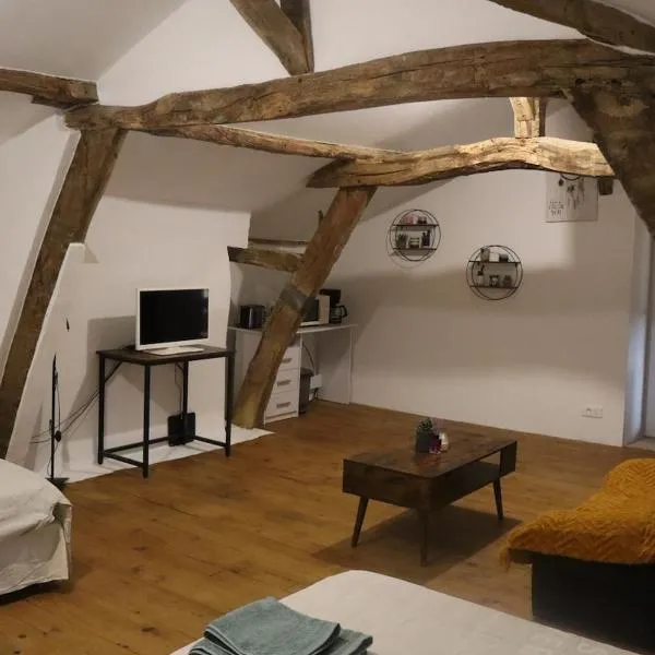 Appartement indépendant,位于Aux-Aussat的酒店