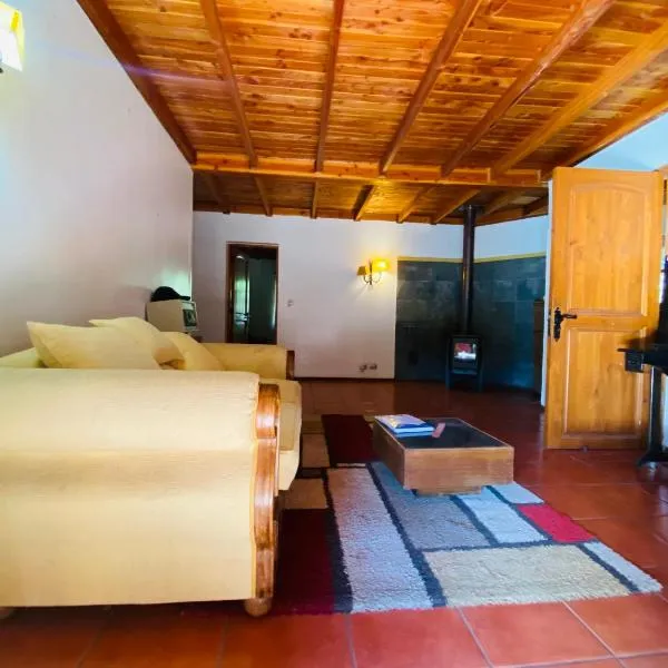 Hostal Aladino，位于Angol的酒店