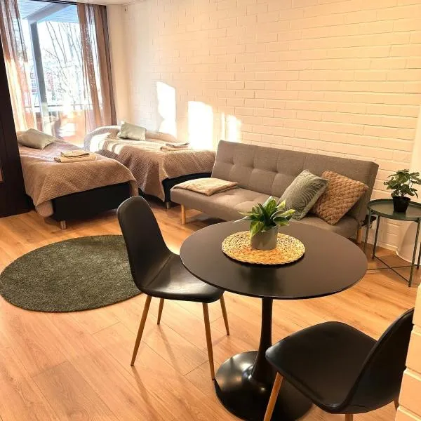 Edullinen yksiö Seinäjoen keskustassa，位于塞伊奈约基的酒店