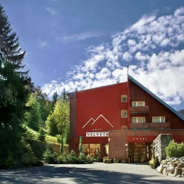 Hotel Velveta,位于什平德莱鲁夫姆林的酒店