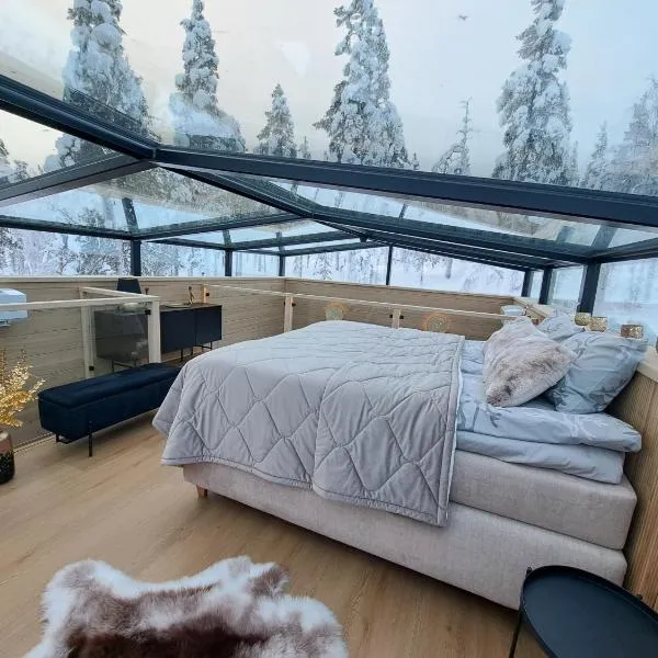 Levi Lapland Luxury Igloos C，位于列维的酒店