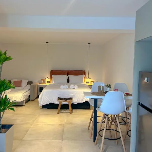 Apademia Comfort Studio 45 sqm，位于斯基罗斯岛的酒店