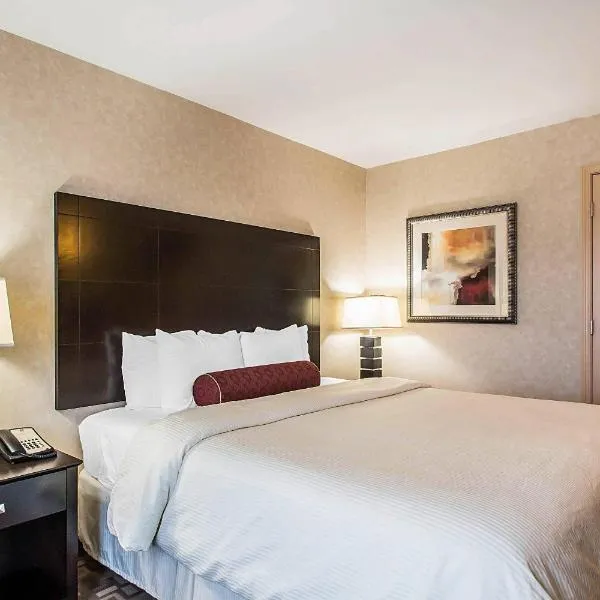 Clarion Inn Elmhurst - Oak Brook near I-88, I-290, I-294,位于埃尔姆赫斯特的酒店