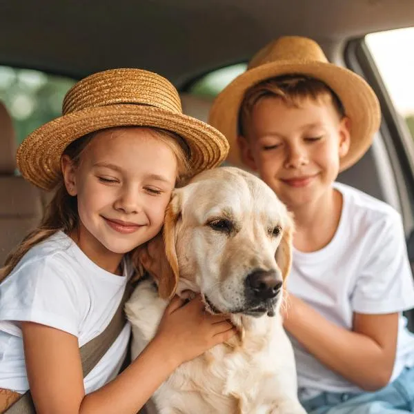 Appartement Borger mit Garten，位于绍埃尔拉的酒店