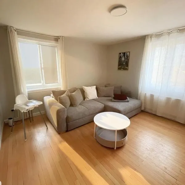 Black Forest Family Apartment for 6，位于特里贝格的酒店