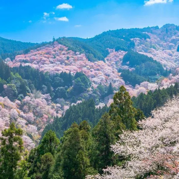 Grand Mercure Nara Kashihara，位于橿原市的酒店