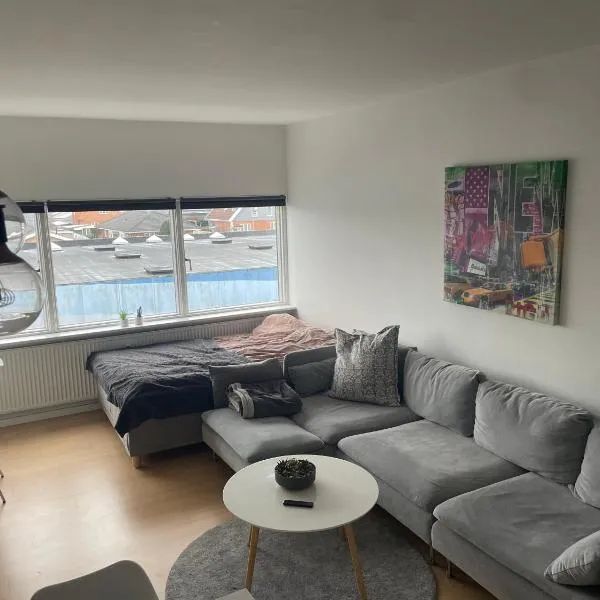 Small but cozy 1 bedroom Apartment with Living room，位于维兹奥勒的酒店