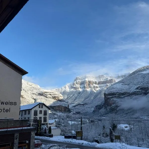 雪绒花酒店，位于托尔拉的酒店