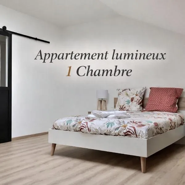 Appartement spacieux et lumineux proche gare，位于昂贝略昂比热的酒店