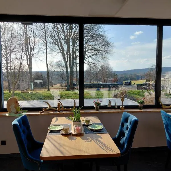 DER Hirsch Hotel，位于蒙绍的酒店