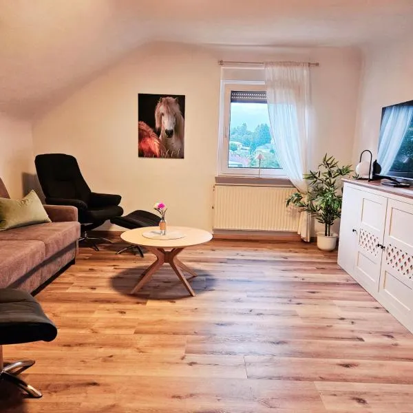 Ferienwohnung Schwarzhof Hahnekräh am Bostalsee，位于诺费尔登的酒店