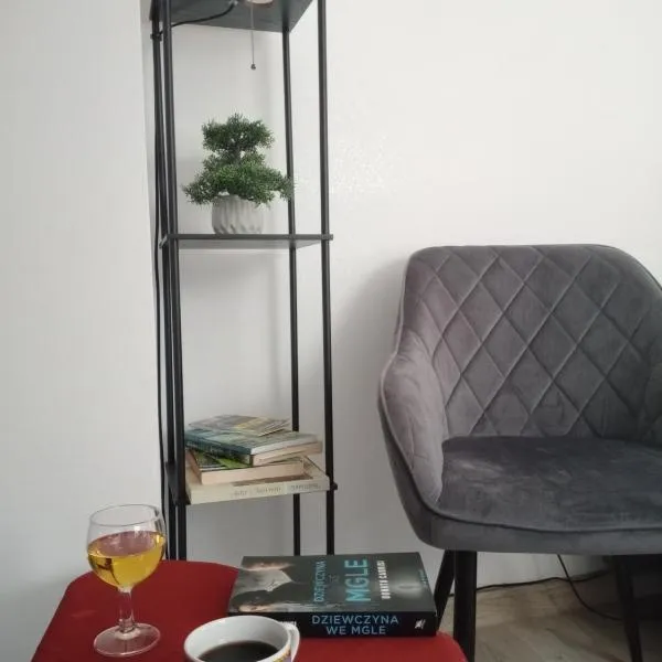 Całoroczny Apartament u Grzegorza，位于利兹巴克的酒店