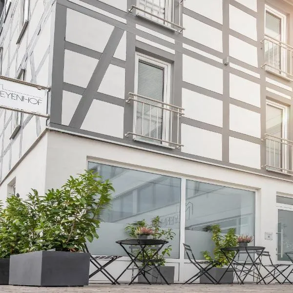 Hotel Apartment Ferienwohnung Meyenhof Frankenberg Eder，位于弗兰肯贝格的酒店
