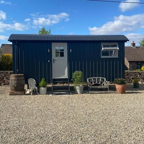 Ewes Rest Shepherds Hut，位于柯比斯蒂芬的酒店
