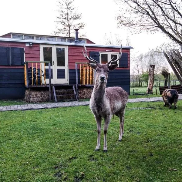 B&B 't Maartensdijkse Bos，位于Maartensdijk的酒店