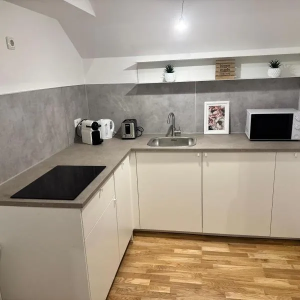 Neu renovierte Wohnung in Steyr mit Parkplatz，位于施泰尔的酒店