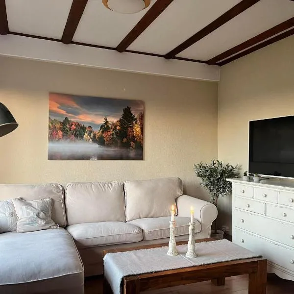 Ferienhaus Lisa am Silbersee，位于Frielendorf的酒店