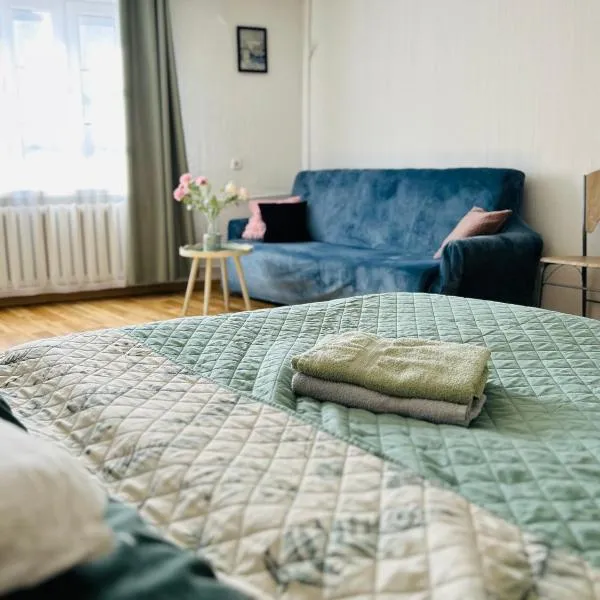 Duży apartament z kuchnią i łazienką w centrum Namysłowa，位于纳梅斯武夫的酒店