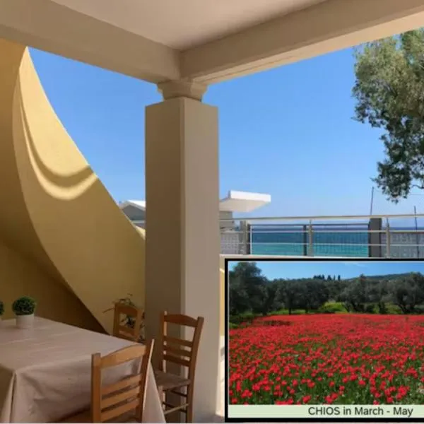 Blue Flag Award Winning Ormos Lo Beach: Home 1，位于弗隆塔多斯的酒店