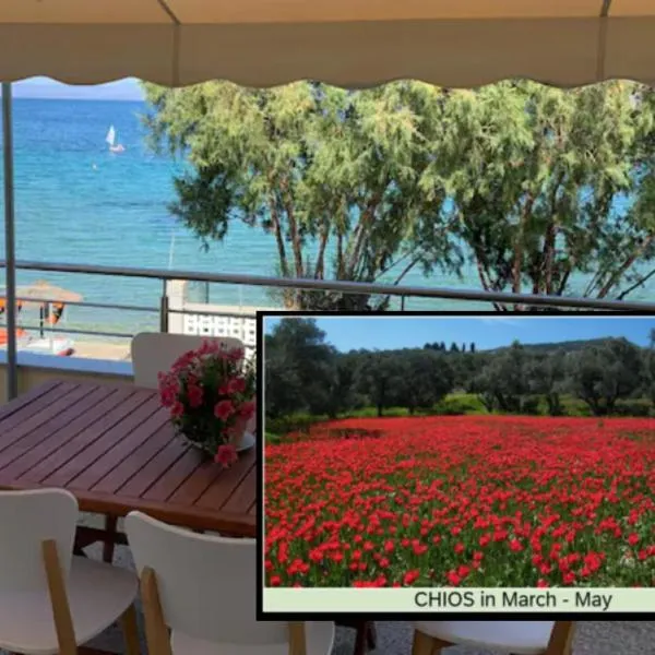 Blue Flag Award Winning Beach: Home 2，位于弗隆塔多斯的酒店