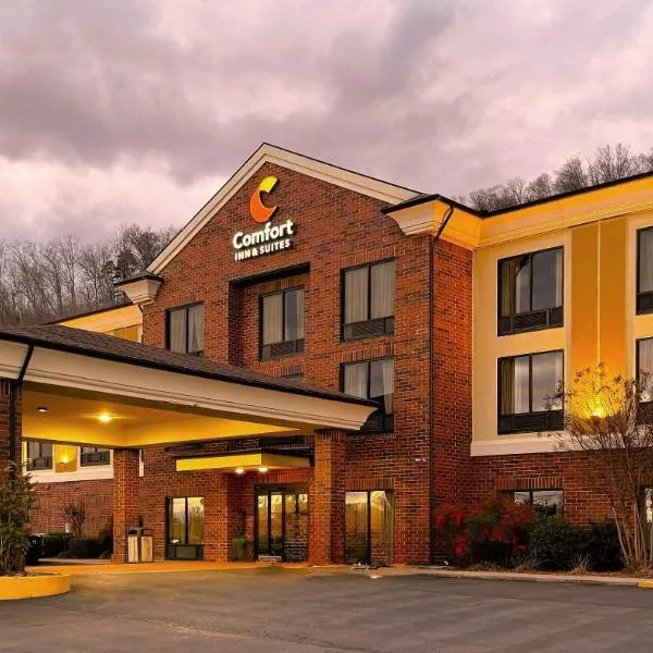 Comfort Inn & Suites Rogersville，位于Rogersville的酒店