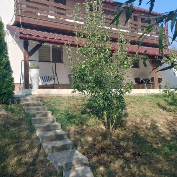 Cabana Sabo，位于Sîntioana的酒店