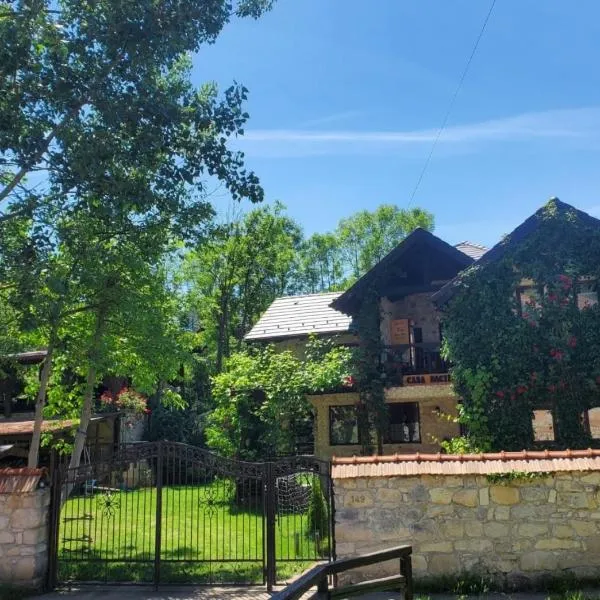 Pensiunea Casa Dacilor，位于Podeni的酒店