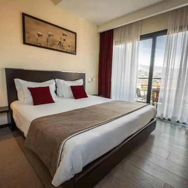 Hotel Sao Pedro - Arouca，位于阿鲁卡的酒店